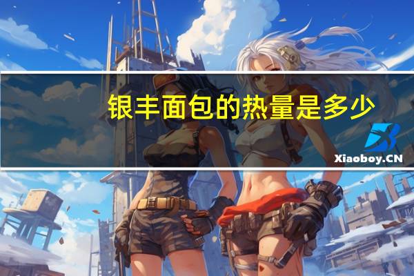 银丰 面包的热量是多少
