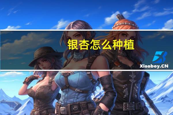 银杏怎么种植