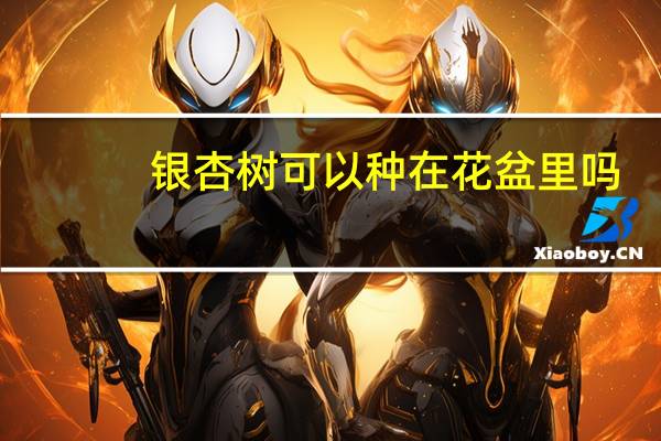 银杏树可以种在花盆里吗