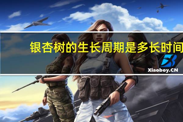 银杏树的生长周期是多长时间