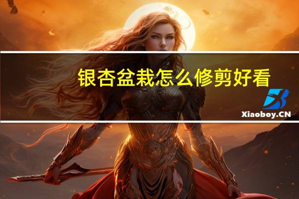 银杏盆栽怎么修剪好看