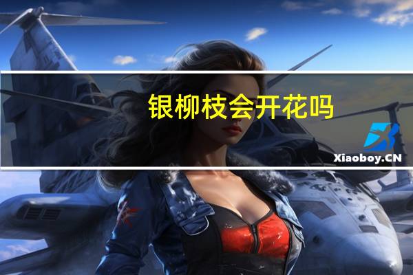 银柳枝会开花吗