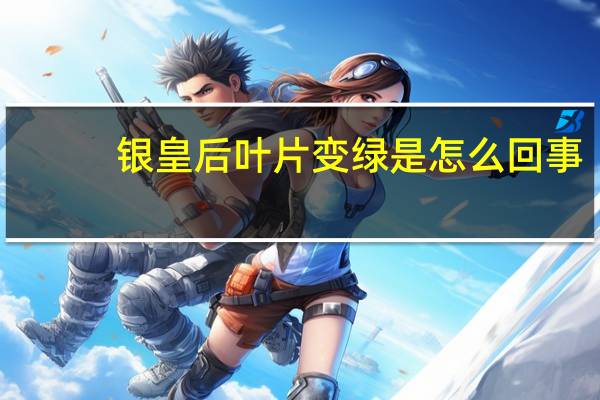 银皇后叶片变绿是怎么回事