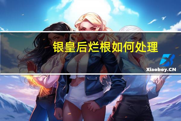 银皇后烂根如何处理