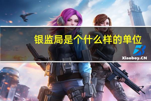 银监局是个什么样的单位