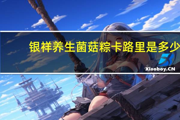 银祥 养生菌菇粽卡路里是多少