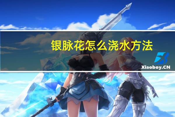 银脉花怎么浇水方法