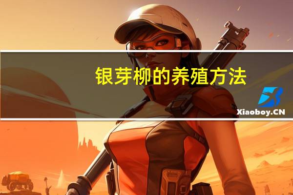 银芽柳的养殖方法：喜温暖、光照充足的环境