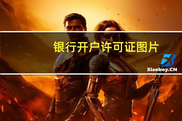 银行开户许可证图片(银行开户许可证)