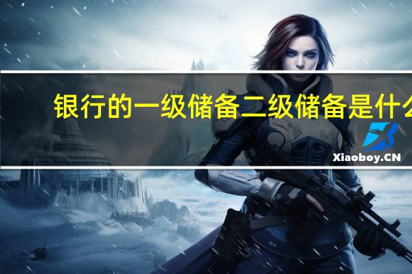 银行的一级储备二级储备是什么
