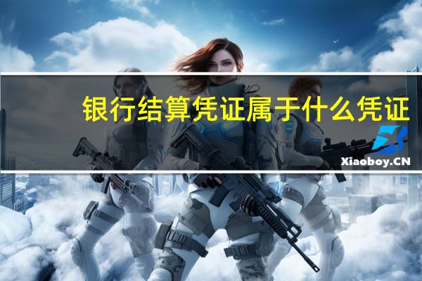 银行结算凭证属于什么凭证