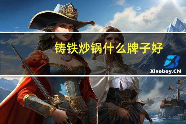 铸铁炒锅什么牌子好
