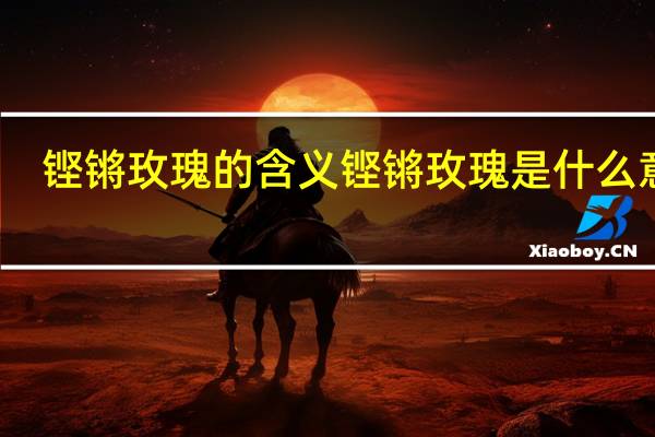 铿锵玫瑰的含义 铿锵玫瑰是什么意思