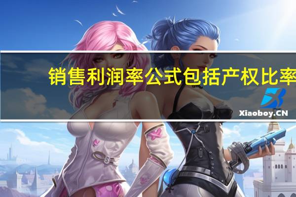 销售利润率公式包括产权比率（销售利润率公式）
