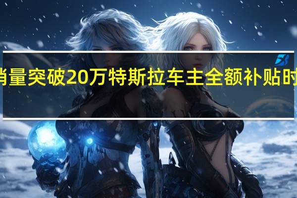 销量突破20万 特斯拉车主全额补贴时代终结