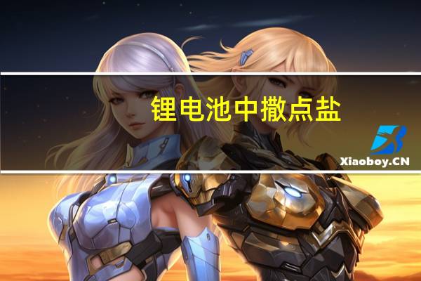 锂电池中撒点盐：能量密度加3倍！