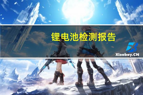 锂电池检测报告（锂电池检测）