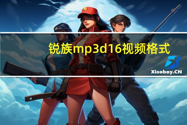 锐族mp3d16视频格式（锐族mp3视频格式是什么）