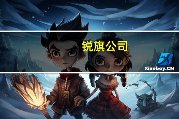 锐旗公司（锐旗网简介）