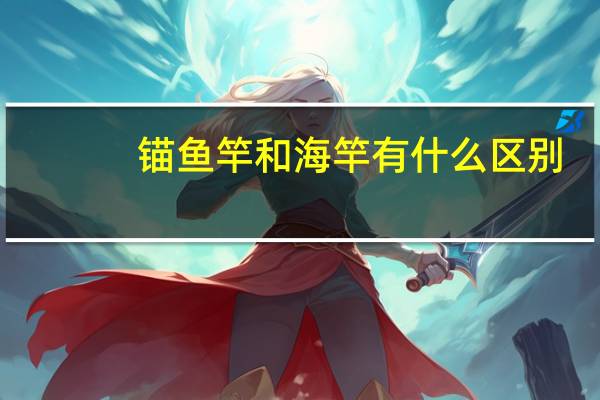 锚鱼竿和海竿有什么区别（锚鱼竿）