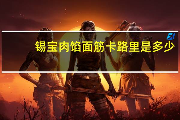 锡宝 肉馅面筋卡路里是多少