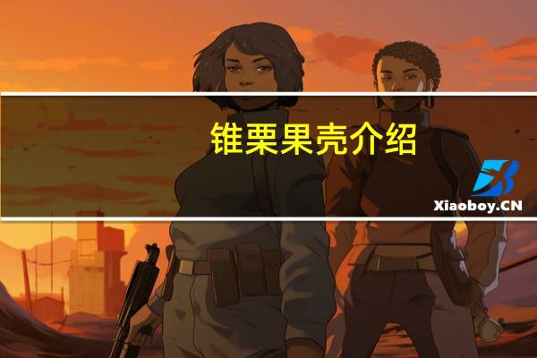 锥栗果壳介绍