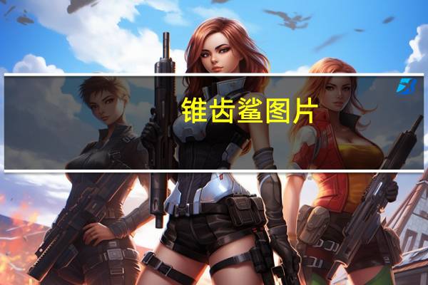 锥齿鲨图片（锥齿鲨）