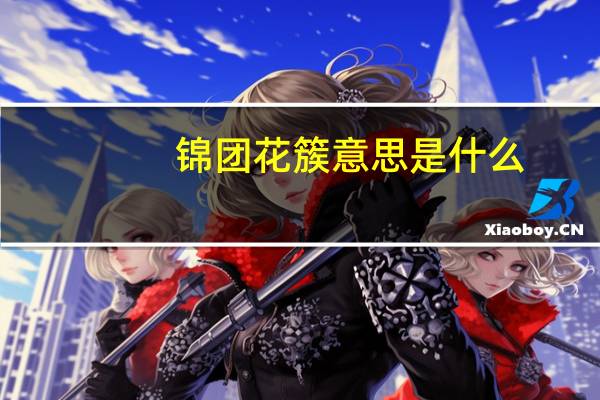 锦团花簇意思是什么