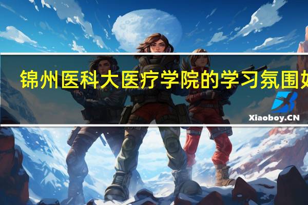 锦州医科大医疗学院的学习氛围如何