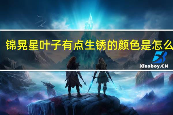 锦晃星叶子有点生锈的颜色是怎么回事?