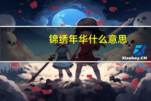 锦绣年华什么意思