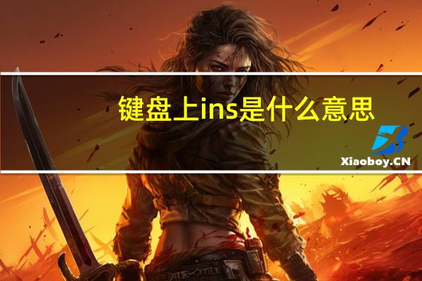 键盘上ins是什么意思