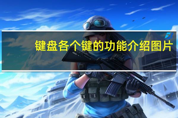 键盘各个键的功能介绍图片（键盘各个键的功能介绍）