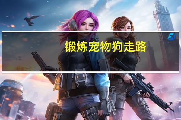 锻炼宠物狗走路