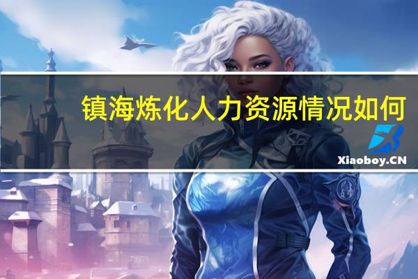 镇海炼化人力资源情况如何