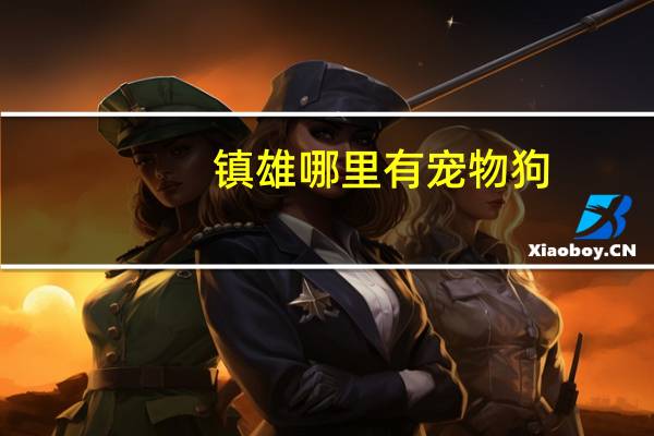 镇雄哪里有宠物狗
