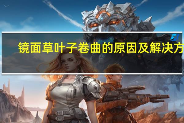 镜面草叶子卷曲的原因及解决方法