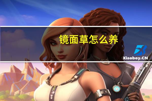 镜面草怎么养