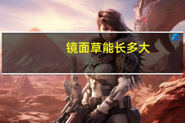 镜面草能长多大
