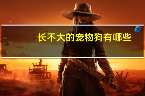 长不大的宠物狗有哪些