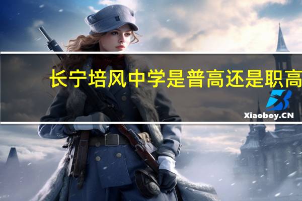 长宁培风中学是普高还是职高