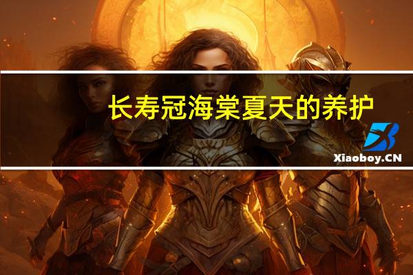 长寿冠海棠夏天的养护