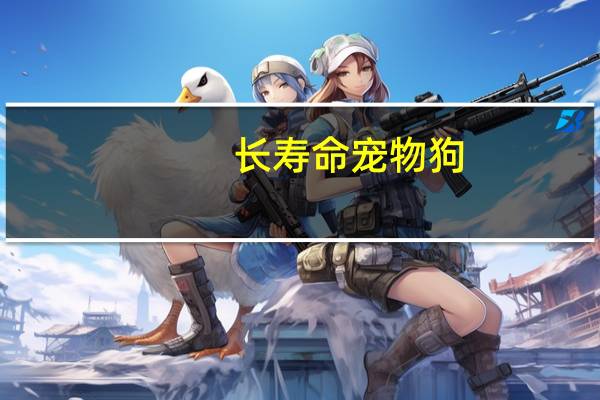 长寿命宠物狗