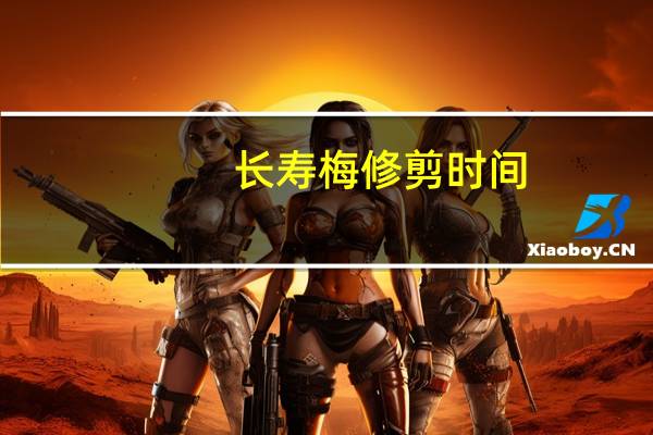 长寿梅修剪时间