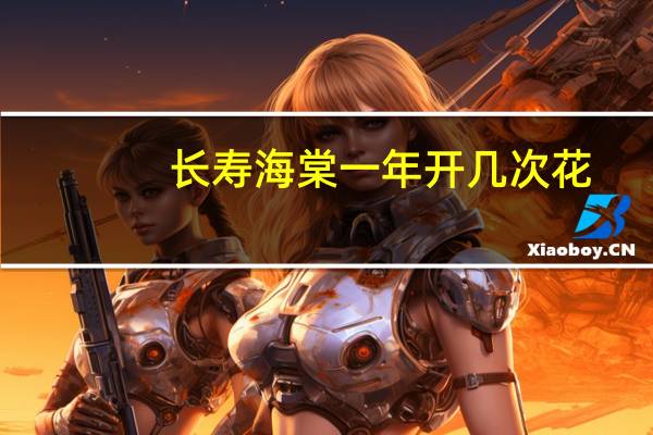 长寿海棠一年开几次花