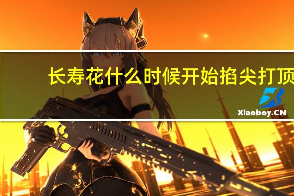 长寿花什么时候开始掐尖打顶