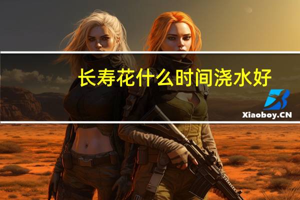 长寿花什么时间浇水好
