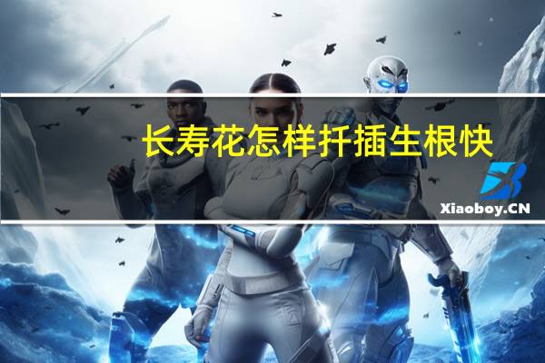 长寿花怎样扦插生根快