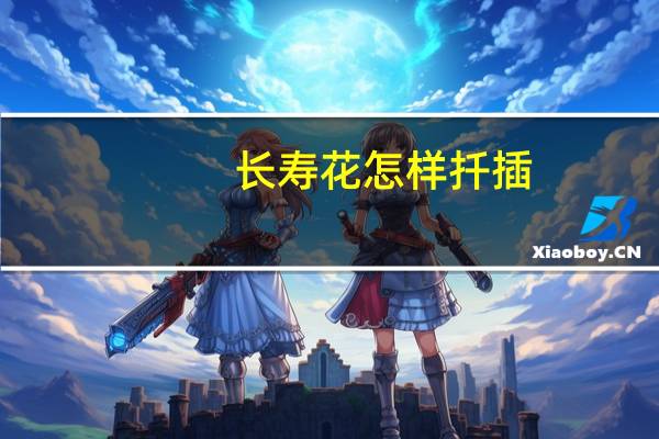 长寿花怎样扦插