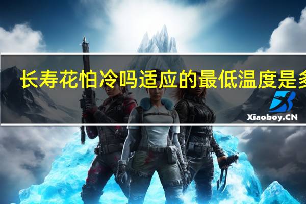 长寿花怕冷吗适应的最低温度是多少
